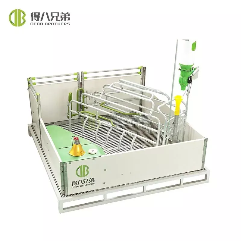 Како чувати фарме свиња од куге