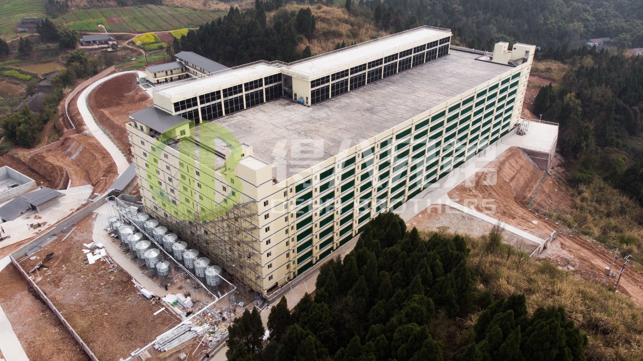 Како побољшати квалитет животне средине у модерном дизајну фарме свиња