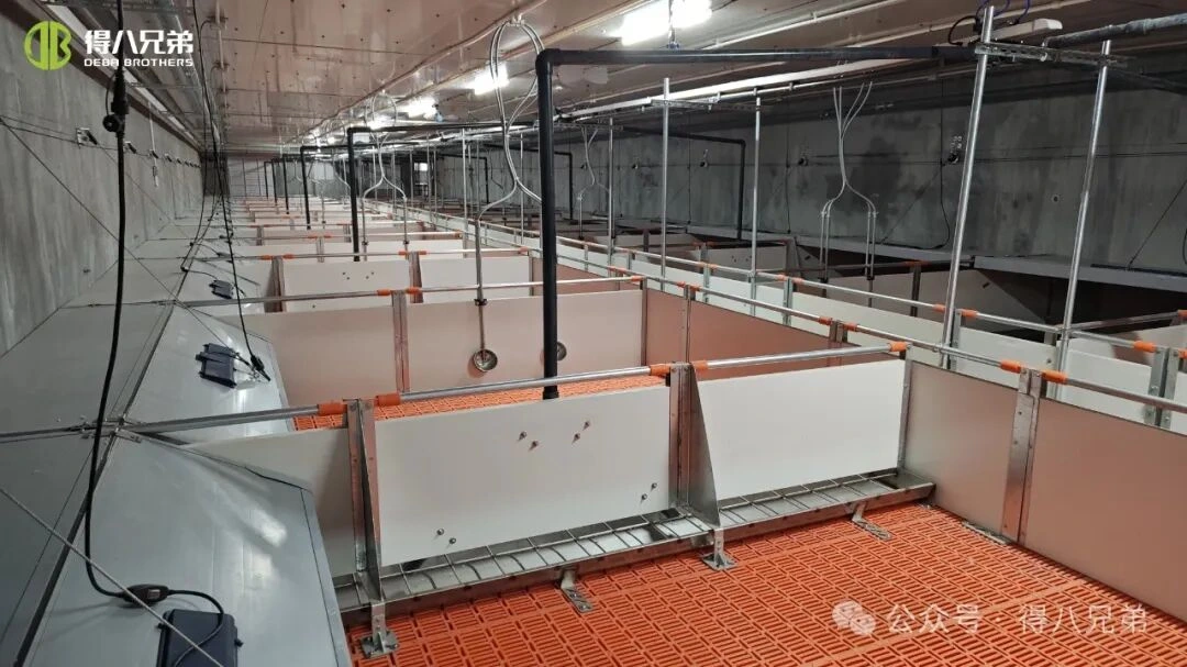 Превенција и управљање топлотним стресом на фармама свиња током врућег времена